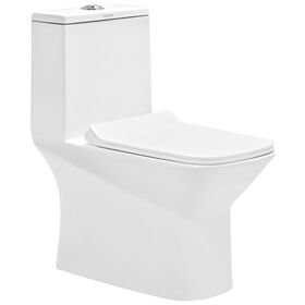 Cera Ceremony One Piece English Seat with Soft Close Seat Cover in White Colour