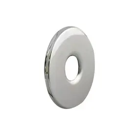 IRWA SS Flange