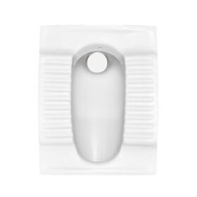 Premium Orissa Pan For Conventional Type Toilets