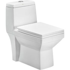 Cera Cona One Piece English Seat with Soft Close Seat Cover in White Colour