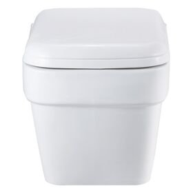 Wall Hung Seat with Soft Close Seat Cover in White Colour